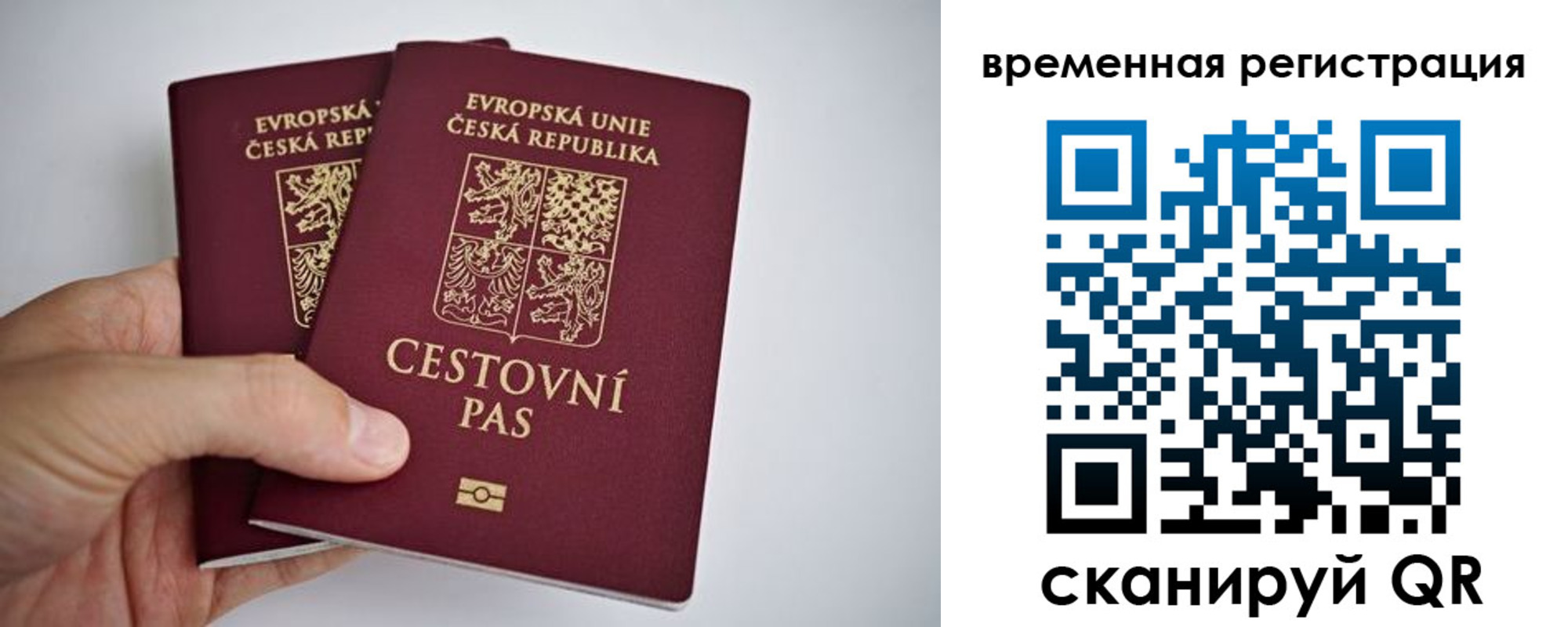 регистрация для школы в Железногорске